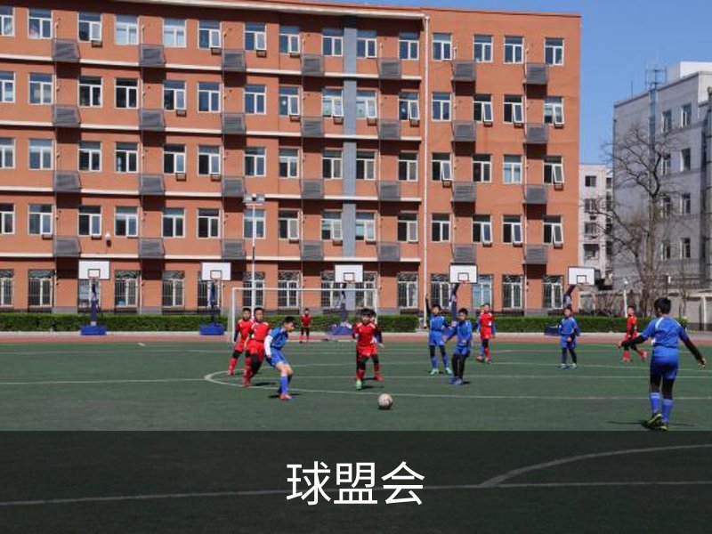 球盟会介绍